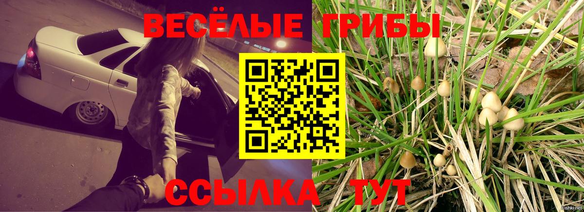 Галлюциногенные грибы GOLDEN TEACHER Шарыпово