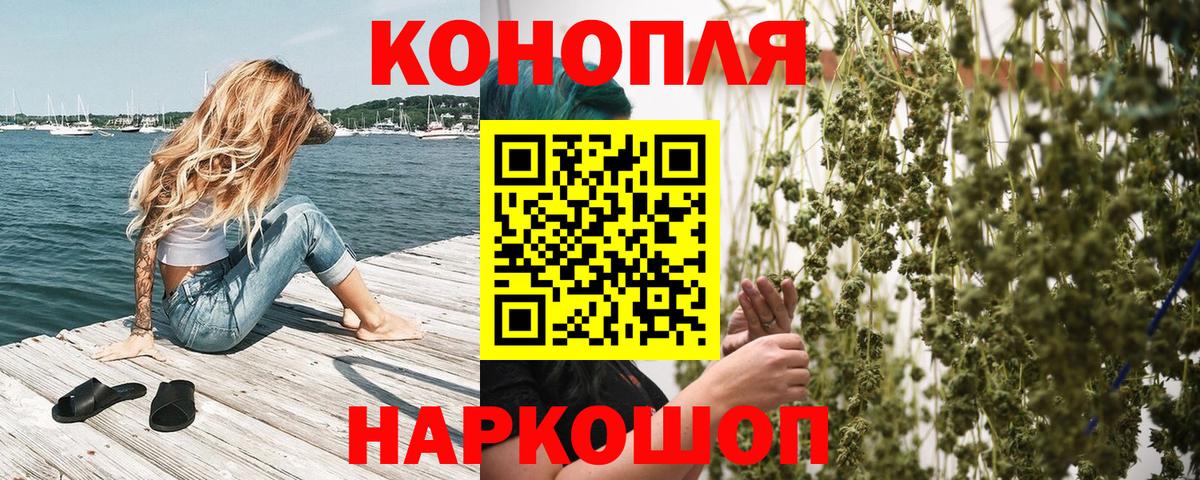 Бошки Шишки планчик  МАРИХУАНА конопля  Каннабис семена  Вход с VPN  Шарыпово 